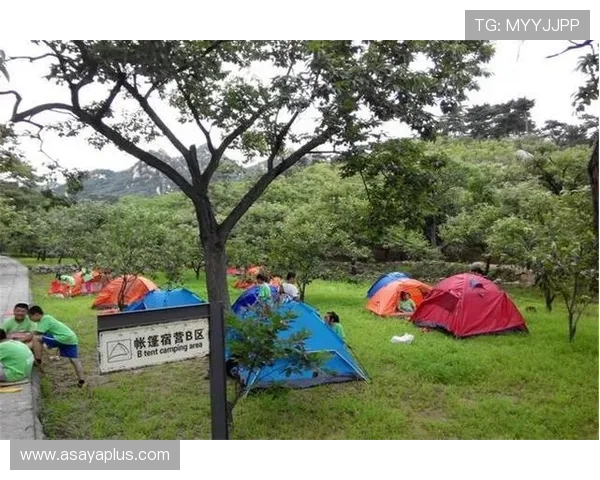 星空体育真人娱乐:多样化体育游戏带来极致的娱乐享受 星空体育真人娱乐:多样化体育游戏带来极致的娱乐享受
