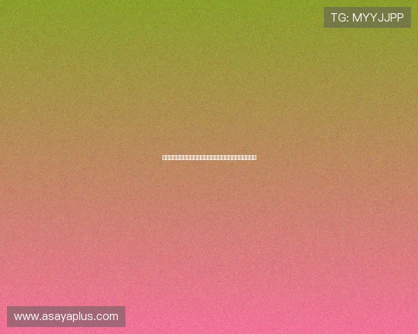 星空媒体官网：了解公司发展历程与未来规划的权威信息平台