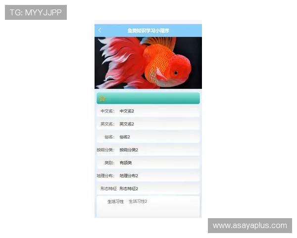 博鱼官网线上登录技巧分享，提高登录成功率的小技巧