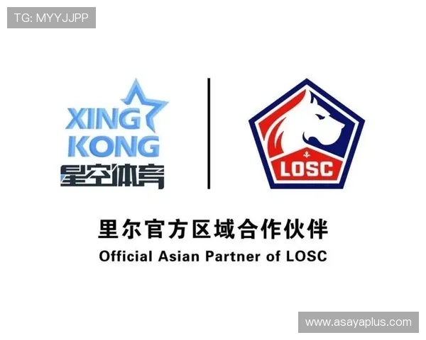 星空体育网娱乐：打造专业的体育资讯平台满足不同用户需求