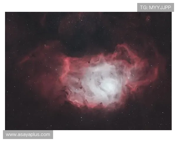 星空入口全网最全，集结全球天文爱好者交流平台的最完整入口